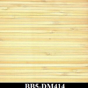 BB5-DM414