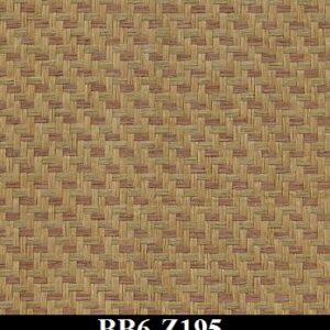 BB6-Z195
