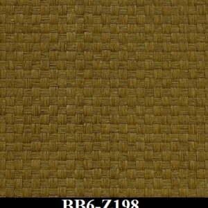 BB6-Z198