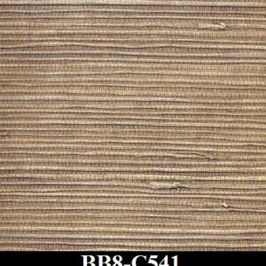 BB8-C541