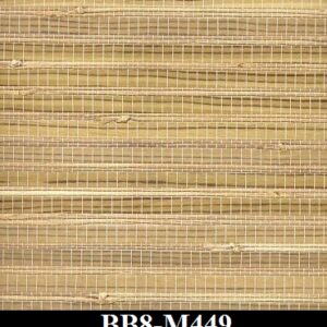 BB8-M449