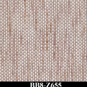 BB8-Z655