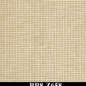 BB8-Z658