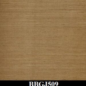 BBGJ509