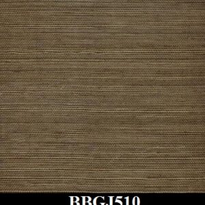 BBGJ510
