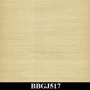 BBGJ517