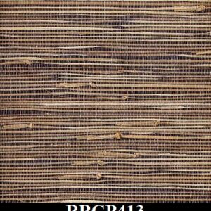BBGP413