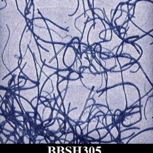 BBSH305