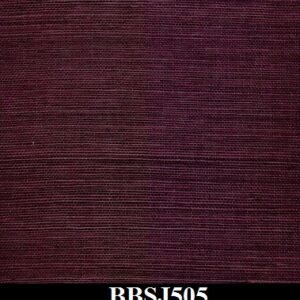 BBSJ505