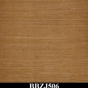 BBZJ506