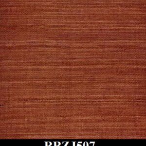 BBZJ507