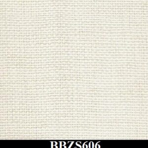 BBZS606