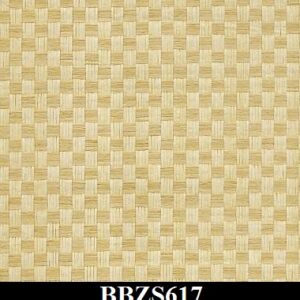 BBZS617