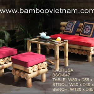 BSO-047
Stool