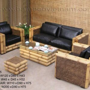 BSO-055
Stool