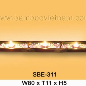 SBE-311