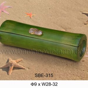 SBE-315